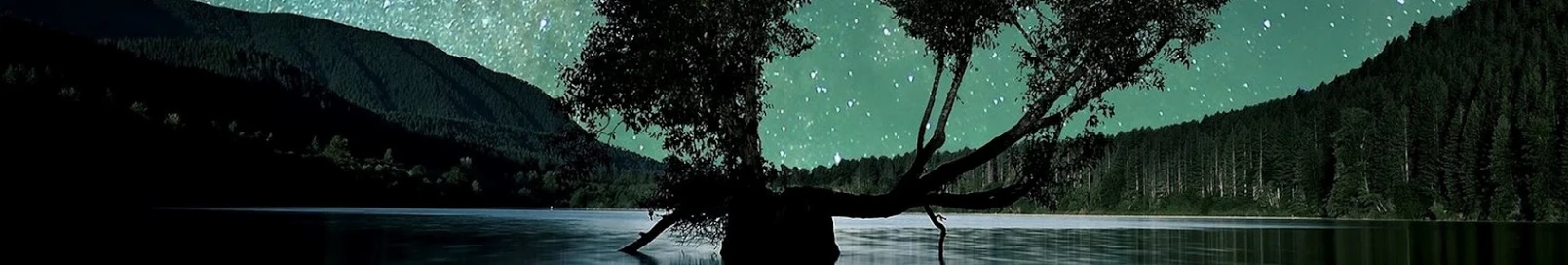Banner użytkownika