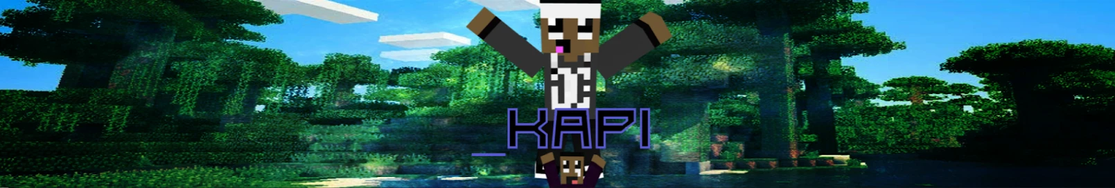Banner użytkownika