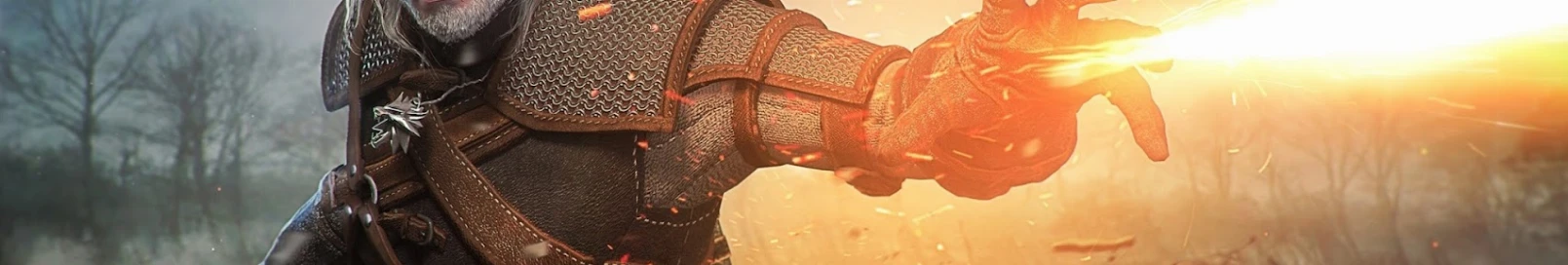 Banner użytkownika