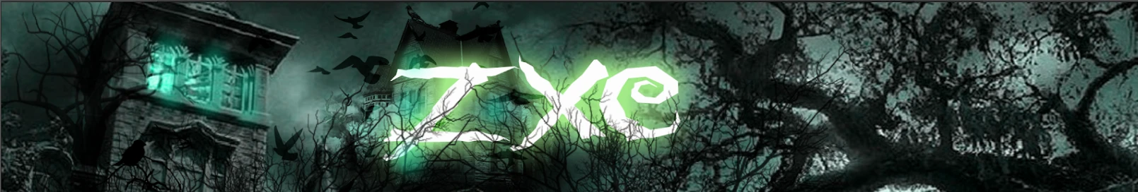 Banner użytkownika