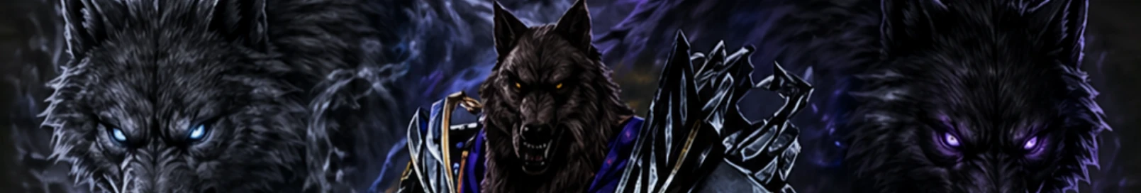 Banner użytkownika