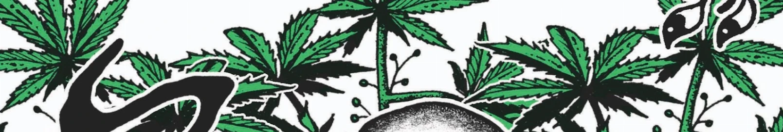 Banner użytkownika