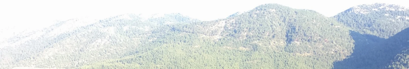 Banner użytkownika