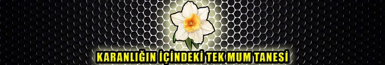 Banner użytkownika