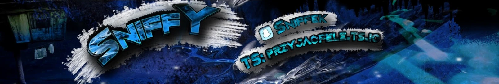 Banner użytkownika
