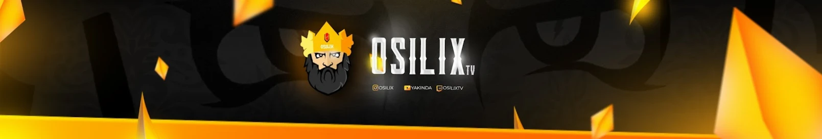 Banner użytkownika