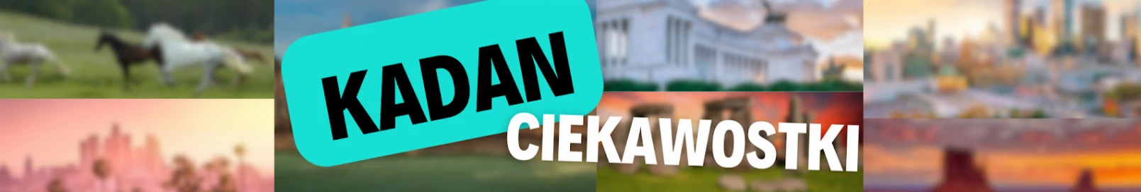Banner użytkownika