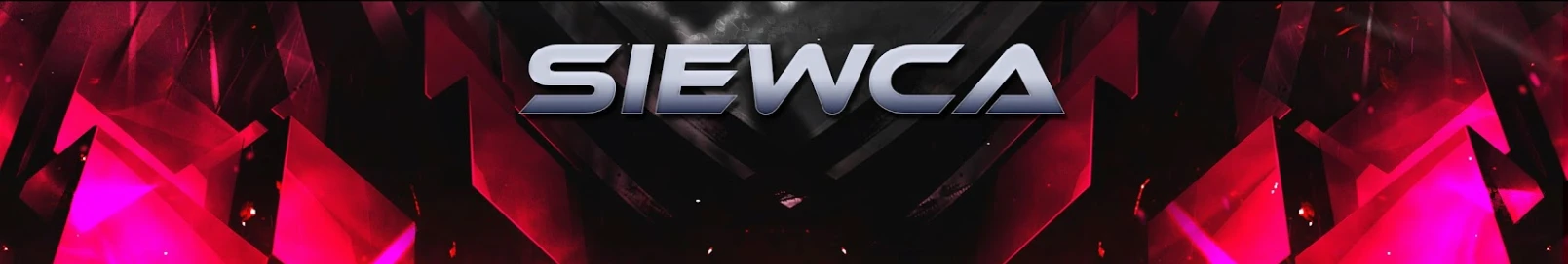 Banner użytkownika
