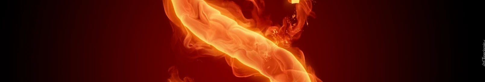 Banner użytkownika