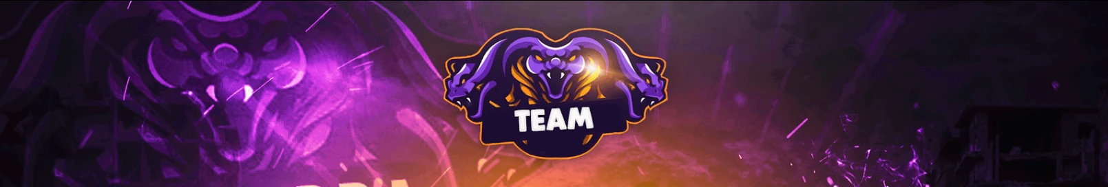Banner użytkownika