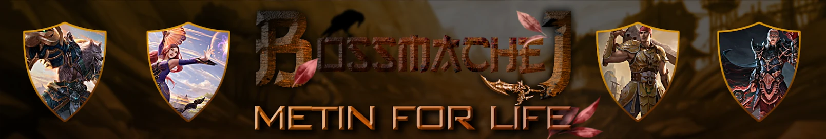 Banner użytkownika