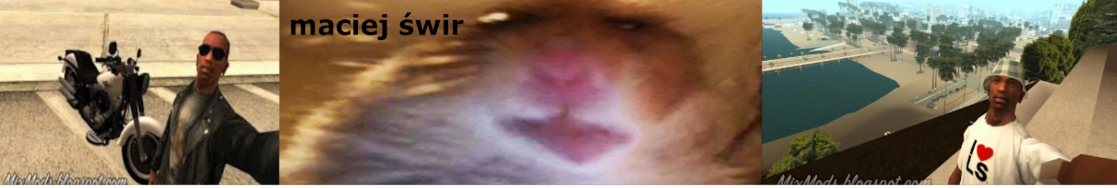 Banner użytkownika