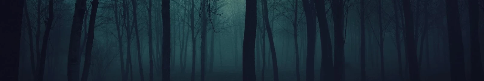 Banner użytkownika