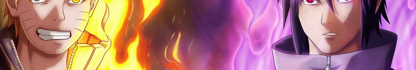 Banner użytkownika