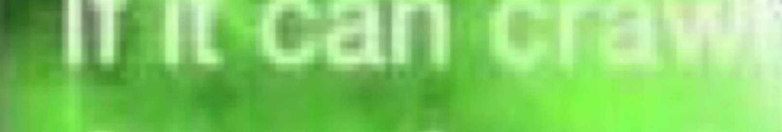 Banner użytkownika
