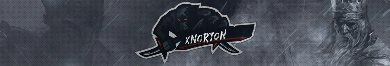 Banner użytkownika