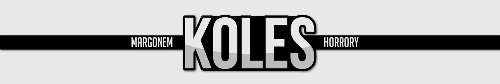 Banner użytkownika