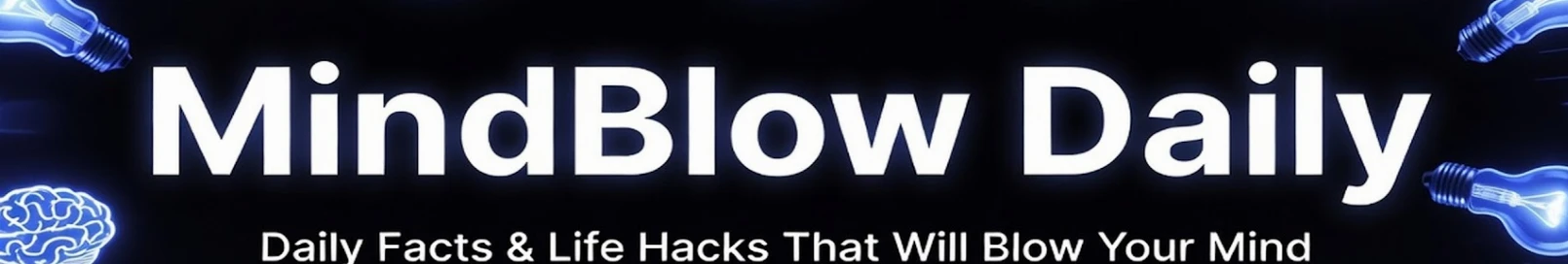 Banner użytkownika