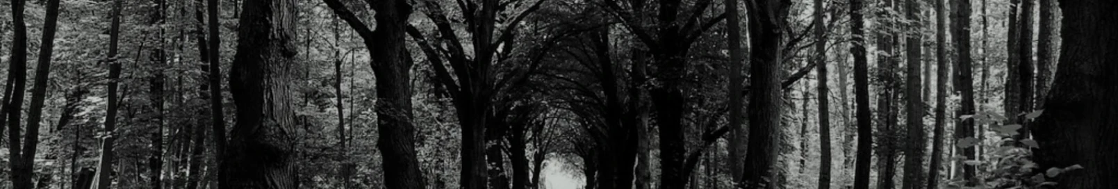 Banner użytkownika