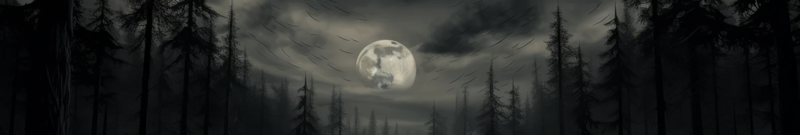 Banner użytkownika