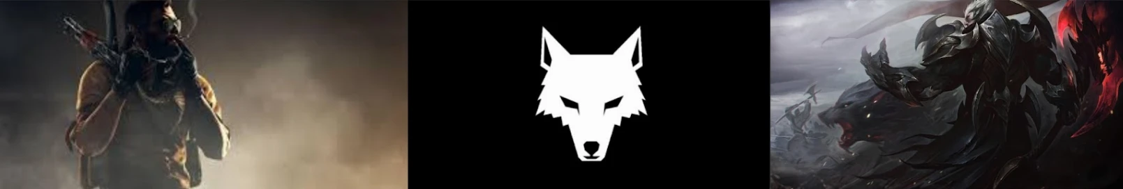 Banner użytkownika