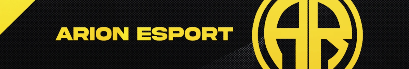 Banner użytkownika