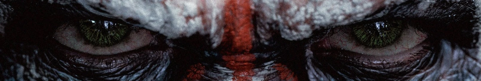 Banner użytkownika
