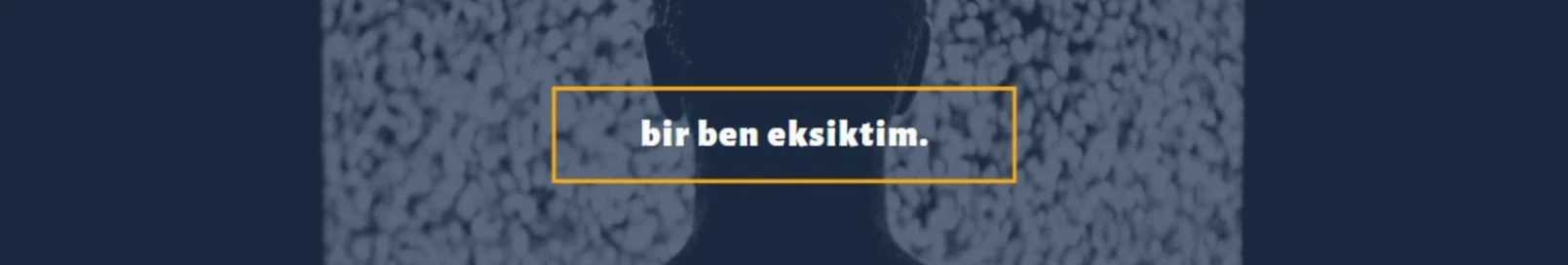Banner użytkownika