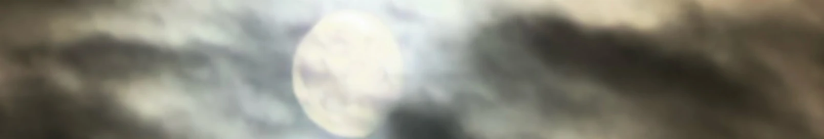 Banner użytkownika