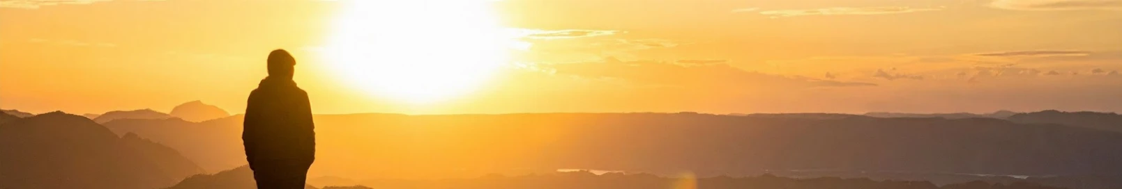 Banner użytkownika