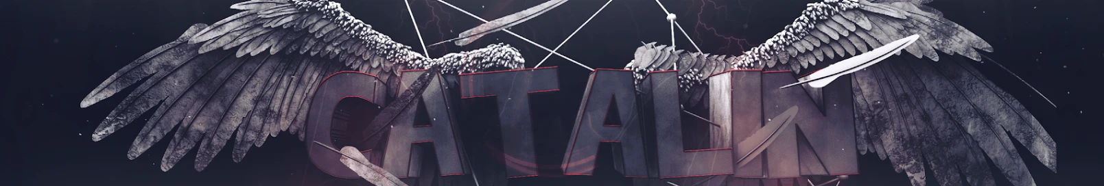 Banner użytkownika