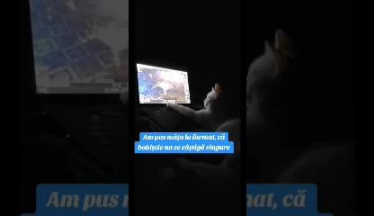 Miniaturka filmu