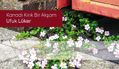 Miniaturka filmu