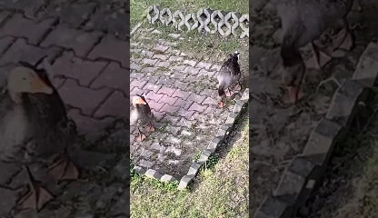 Miniaturka filmu