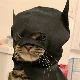 Avatar kanału
