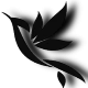 Avatar użytkownika