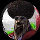 Avatar użytkownika