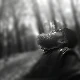 Avatar użytkownika