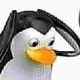 Avatar użytkownika