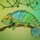 Avatar użytkownika