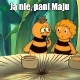 Avatar użytkownika