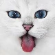 Avatar kanału