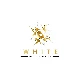 Avatar kanału