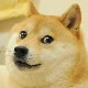 Avatar użytkownika