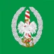 Avatar użytkownika