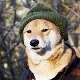 Avatar użytkownika