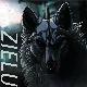 Avatar użytkownika