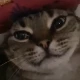 Avatar użytkownika