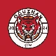 Avatar użytkownika