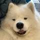 Avatar użytkownika